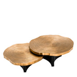 Eichholtz Coffee Table Thousand Oaks set of 2 a brass finish and a black base, the tables are different in height for added