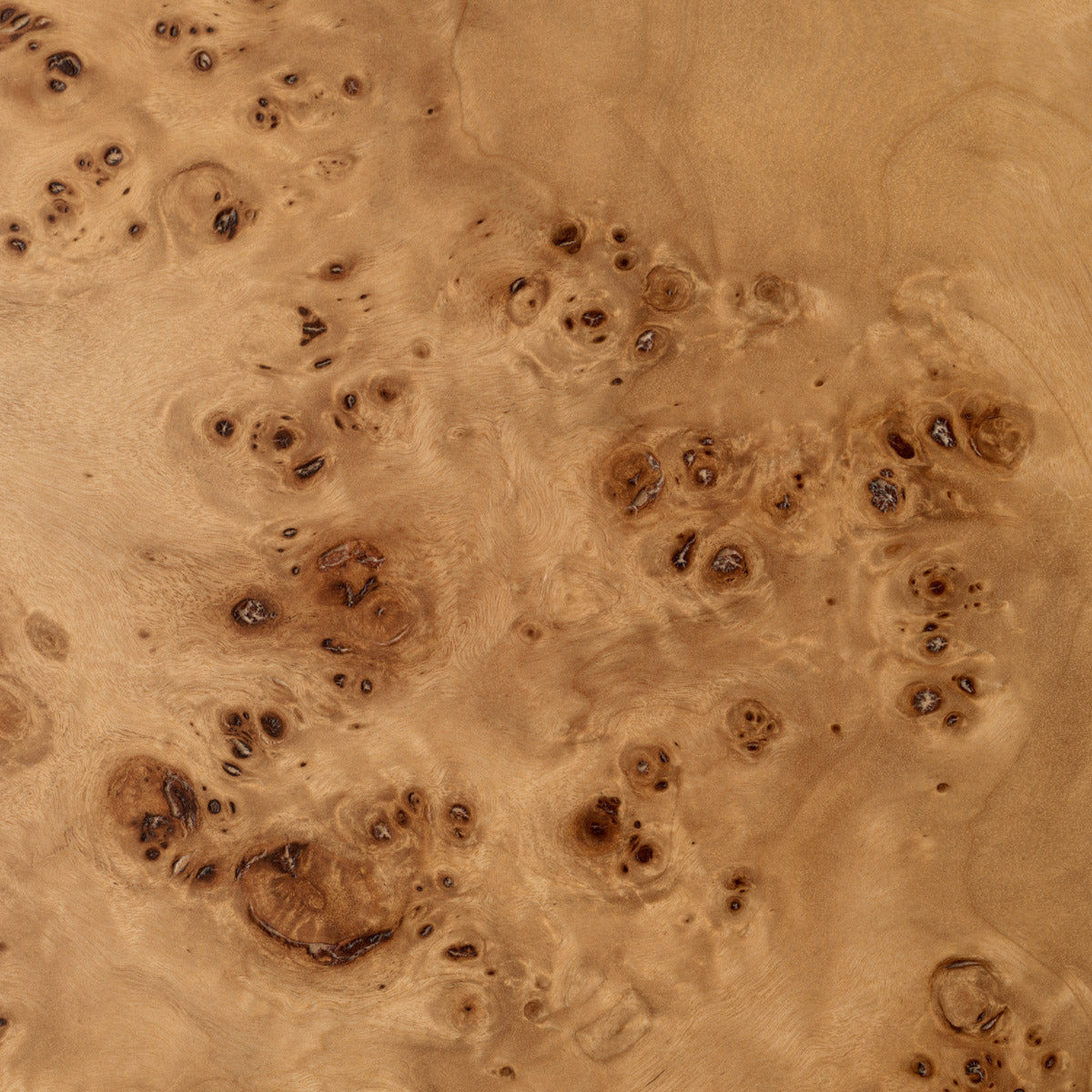 Eichholtz Console Table Quinton set of 2 from luxurious light brown mappa burl veneer, this nested duo boasts a stylish antique brass
