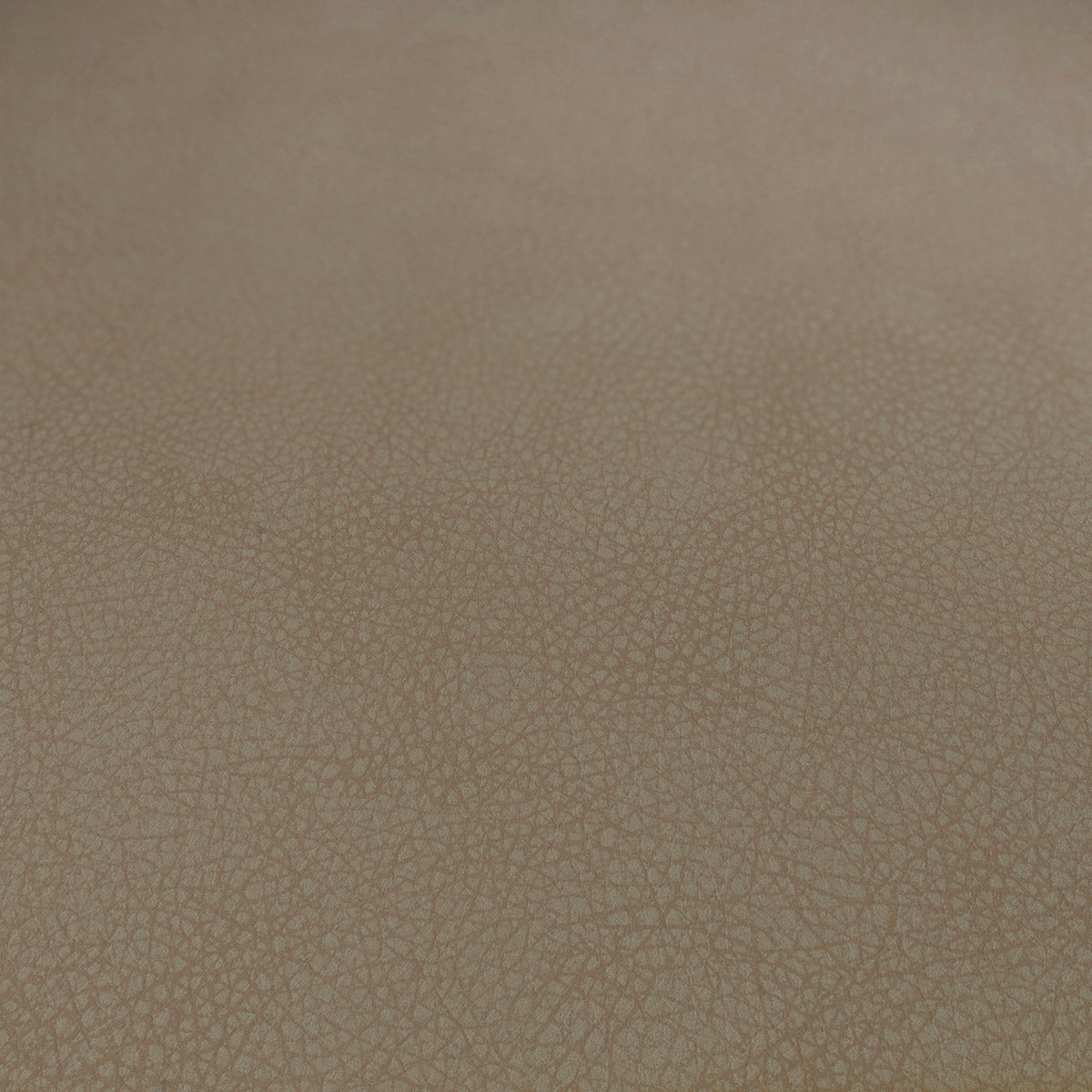 Eichholtz Dining Chair Cooper set of 2 a beige faux-leather upholstery with grey faux-leather piping, tapered black legs and brass caps....