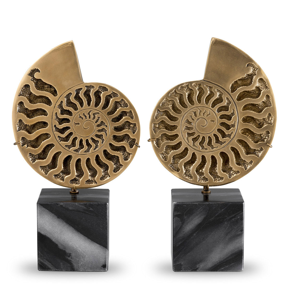 Eichholtz Object Ammonite set of 2 This gorgeous set of 2 Ammonite Objects with vintage brass finish, representing Perisphinctes ammonite...