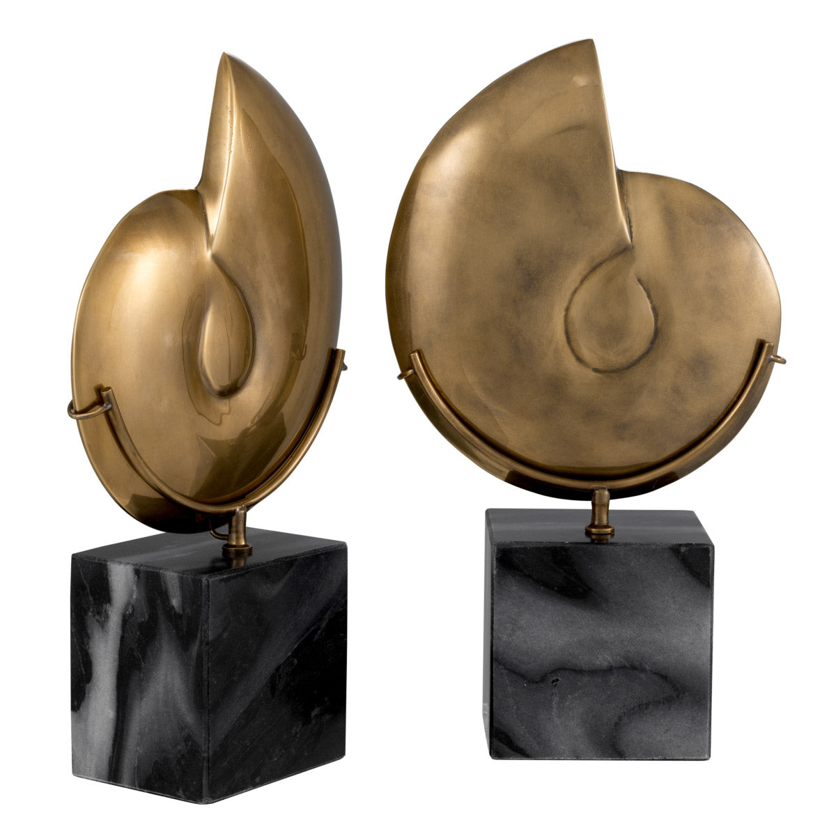 Eichholtz Object Ammonite set of 2 the dinosaurs disappeared. The objects are each mounted on a grey marble base. Object Ammonite