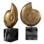 Eichholtz Object Ammonite set of 2 the dinosaurs disappeared. The objects are each mounted on a grey marble base. Object Ammonite