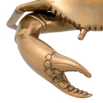 Eichholtz Object Crab elevated materials for a statement in any luxury interior. Dimensions W 11.0" D 9.5" H