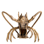 Eichholtz Object Lobster this handcrafted piece morphs any space into an enclave of oceanic luxury. Object Lobster Crafted