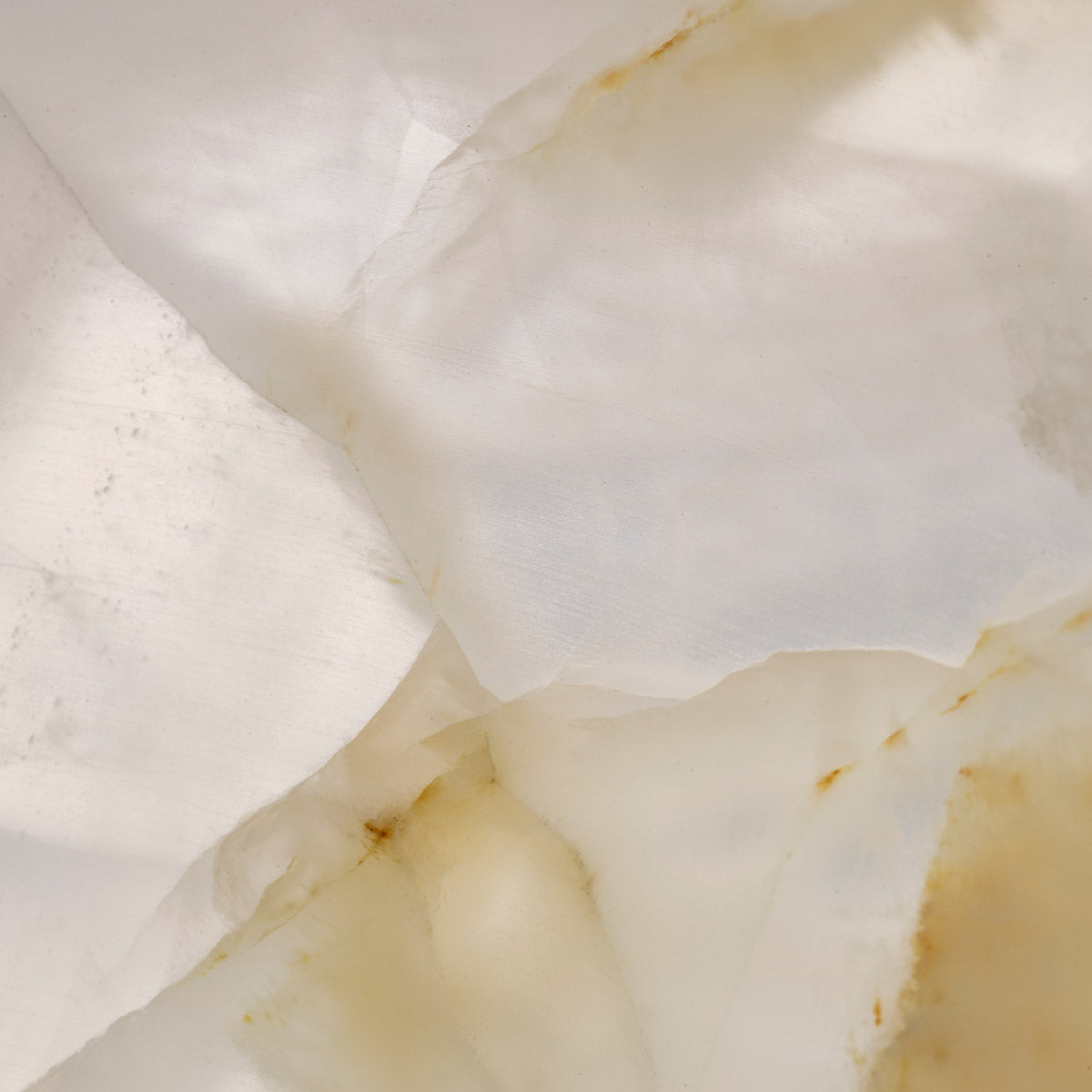 Eichholtz Vase Fayum allure in your contemporary space with these timeless pieces. HISTORIC PROVENANCEThe Vase Fayum is influenced