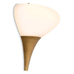 Elliptical Glass Wall Lamp Duco
