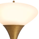 Elliptical Glass Wall Lamp Duco